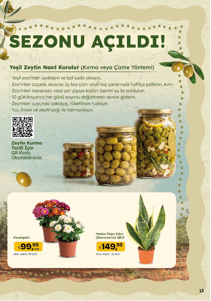 Migros Broşürü 5M Migroskop 8-21 Ekim — sayfa 13