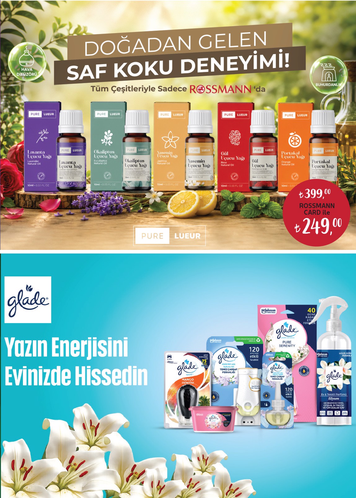 Rossmann Broşürü Ağustos Ev Ve Yaşam — sayfa 5