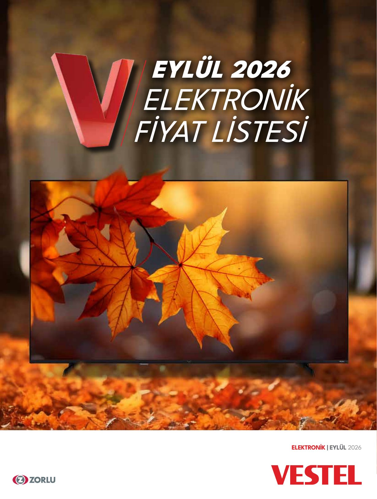 Vestel Broşürü Tüketici Elektroniği