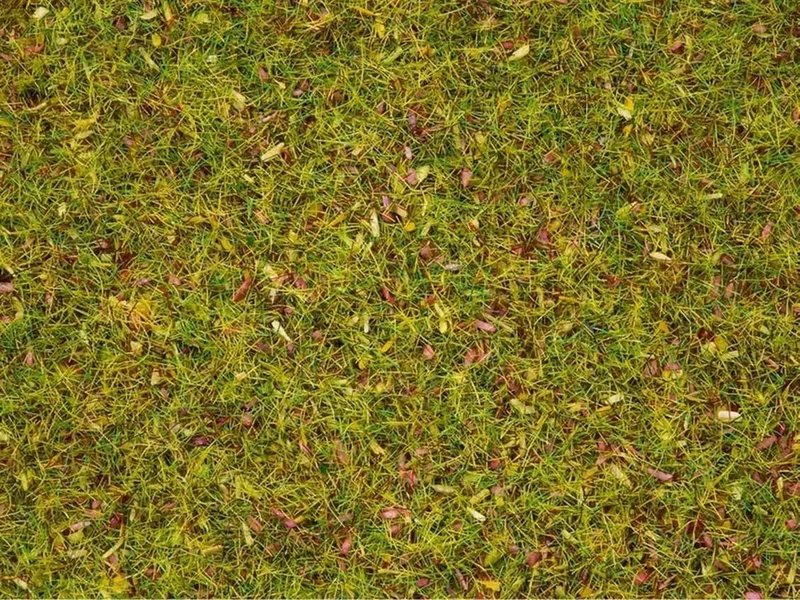 Noch 8330 Serpme Çim, Çiçekli, 2.5 mm, 20 Gram Diorama Malzemesi