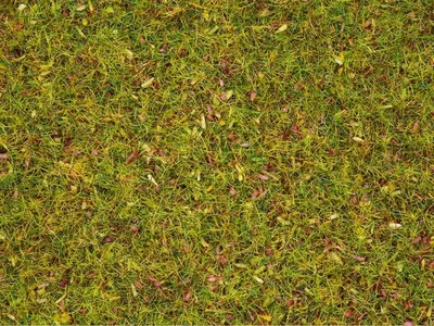 Noch 8330 Serpme Çim, Çiçekli, 2.5 mm, 20 Gram Diorama Malzemesi