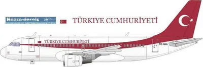 TUR002 1/144 TURKİSH DECAL-GOVERMENT A319 VIP WİT