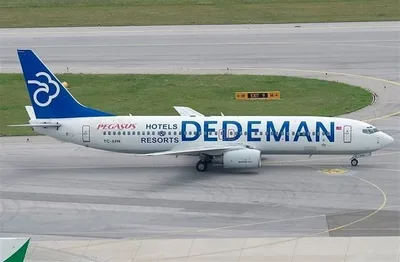 Babibi DAT01045 1/144 Pegasus, Boeing 737-800, Dedeman, Dekal Çıkartma