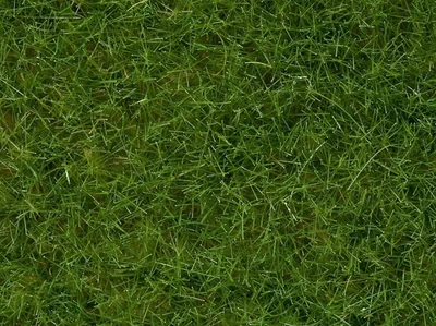 Noch 7092 Yabani Otlar, Açık Yeşil, 6 mm, 100 Gram Diorama Malzemesi