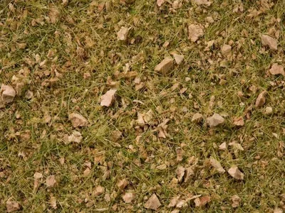 Noch 7075 Statik Çim, Alp Dağları Çayırları Karışımı, 2.5-6.0 mm. 50 Gram Diorama Malzemesi