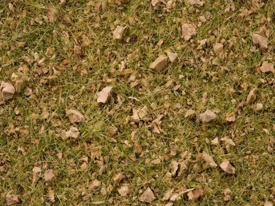 Noch 7079 Statik Çim, Alp Dağları Çayırları Karışımı, 2.5-6.0 mm. 100 Gram Diorama Malzemesi