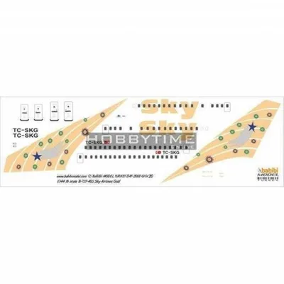 Babibi DAT01020 1/144 Sky Airlines,Boeing 737-400, Gold, Dekal Çıkartma