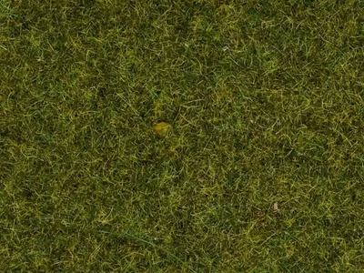 Noch 8152 Serpme Çim, Mera Çayırı, 2.5 mm, 120 Gram Diorama Malzemesi