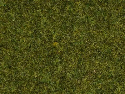 Noch 8152 Serpme Çim, Mera Çayırı, 2.5 mm, 120 Gram Diorama Malzemesi