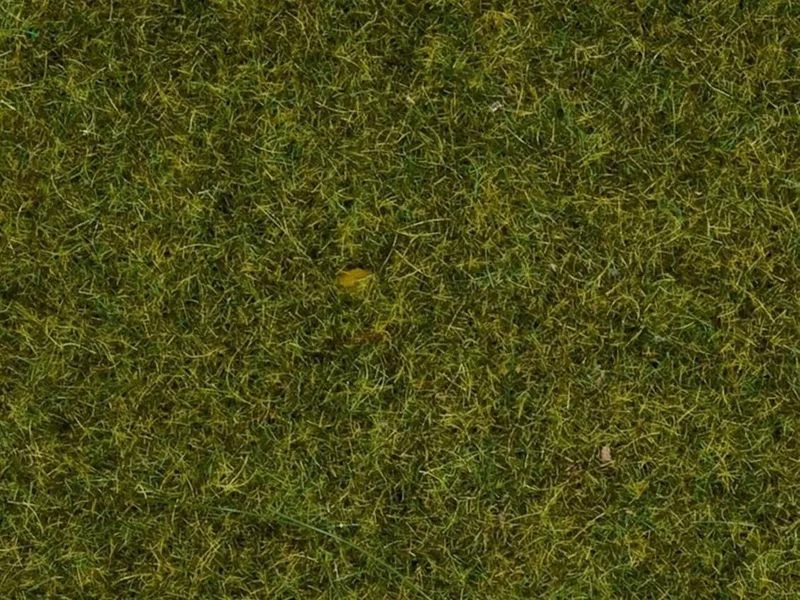 Noch 8152 Serpme Çim, Mera Çayırı, 2.5 mm, 120 Gram Diorama Malzemesi