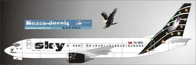 SKY003 1/144 SKY B737-400 BLACK EAGLE