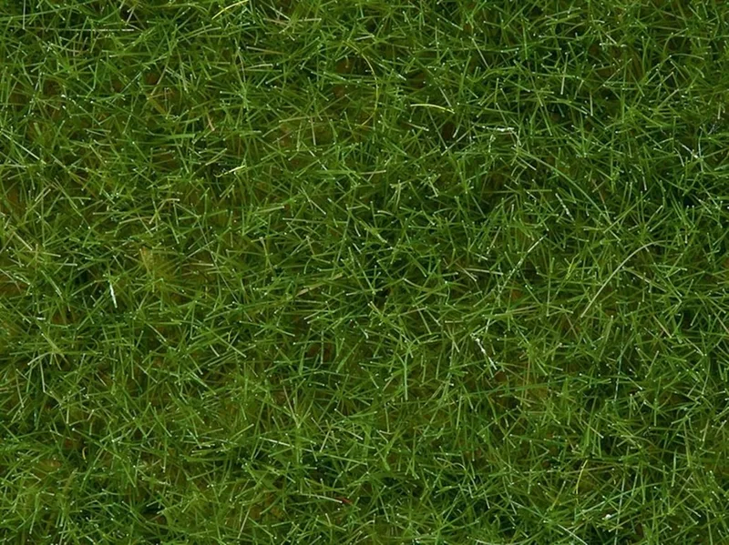 Noch 7092 Yabani Otlar, Açık Yeşil, 6 mm, 100 Gram Diorama Malzemesi