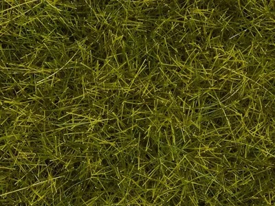 Noch 7095 Yabani Otlar, Çayır Yeşili, 12 mm, 80 Gram Diorama Malzemesi