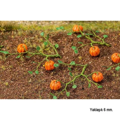 Faller 181258 Bal Kabakları ( 6 Adet )