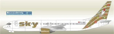 SKY010 1/144 SKY B737-400 GOLD WİTH LASER PRİNTED