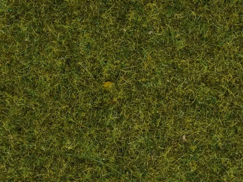 Noch 8212 Serpme Kısa Çim, Yaz Çayırı, 1.5 mm, 20 Gram Diorama Malzemesi