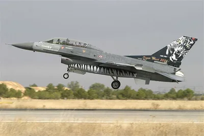Babibi DBT01015 1/48 F-16 D, Tigermeet 2006, Dekal Çıkartma
