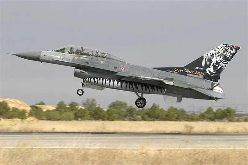 Babibi DBT01015 1/48 F-16 D, Tigermeet 2006, Dekal Çıkartma