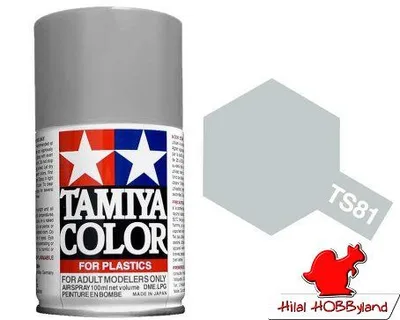 TS-81 British Navy Gray 100ml Enamel Sprey Boya