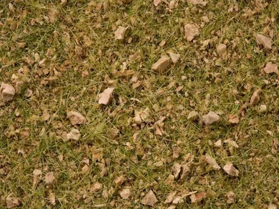 Noch 7079 Statik Çim, Alp Dağları Çayırları Karışımı, 2.5-6.0 mm. 100 Gram Diorama Malzemesi