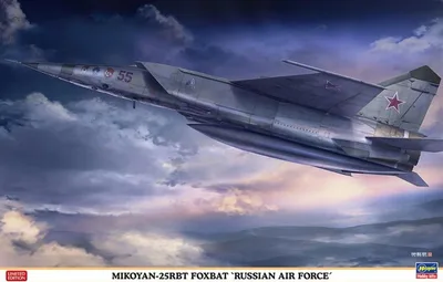 Hasegawa 07462 1/48 Ölçek Mikoyan-25RBT Foxbat (Rus Hava Kuvvetleri) Savaş Uçağı (Limited Edition) Plastik Model Kiti