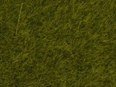 Noch 7090 Yabani Otlar, Çayır Yeşili, 6 mm, 100 Gram Diorama Malzemesi